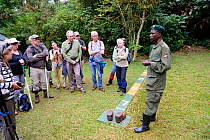 Tourists watching as guide explains the rule to stay at least 7 metres distance from Gorillas, Bwindi Impenetrable Forest, Uganda, February 2016.