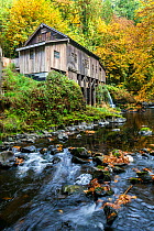 Cedar Creek Grist Mill near the town of Woodland, Washington, USA. October 2015.