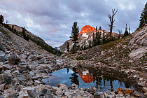 Summit of Mount Regan reflected in small tarn above Sawtooth Lake, Sawtooth Wilderness, Sawtooth National Recreation Area, Idaho, USA. July 2015.