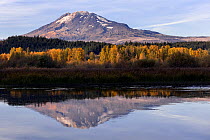 Mount Adams from Trout Lake Creek, Trout Lake, Washington, USA. October 2015.