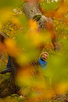 Two Boys in Oak tree (Quercus) in autumn, Edersee, Germany, October 2014.
