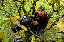 Nature photographer Solvin Zankl taking photographs in an old Oak. Belau, Germany