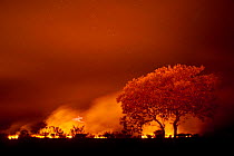 Grass fire at night in Pantanal, Brazil.