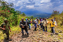 Virunga National Park guard with porters carrying equipment and supplies, on trail to Nyiragongo Volcano, Virunga National Park, North Kivu Province, Democratic Republic of Congo. September 2015.