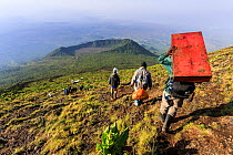 Porters carrying luggage and equipment down from the Nyiragongo Volcano, Democratic Republic of Congo (RDC). September 2015.