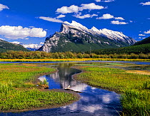 Canadian Rockies reflected in marshland, Banff National Park, Alberta, Canada.