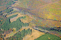Aerial view of deforestation in the ?ureanu Mountains.  Carpathians, Romania. October, 2014.