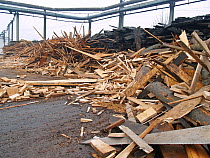 Discarded wood at an inefficient wood processing plant in Reghin, Eastern Carpathians, Romania.
