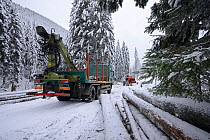 Logging vehicle  in the Retezat Mountains, Carpathians, Romania, November 2013