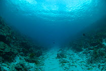Passe Dubois / Dubois channel is one off the channels which connect the ocean and the Aldabra lagoon, Aldabra, Indian Ocean