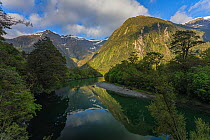 Arthur River on the Milford Track, Fiordland National Park, Southland District, South Island, New Zealand. November.