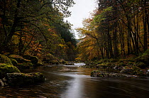 The River (Afon) Llugwy in autumn, near Betws-y-coed, Wales, May 2014