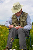Colon Morris ringing a Kestrel chick (Falco tinnunculus) found during a nestbox survey for the the Hawk and Owl Trust's Kestrel Highways project, Congresbury, Somerset, UK, June. Model released.