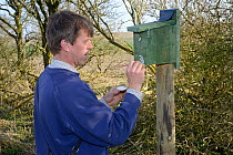 Dr. Ian Grange of Royal Agricultural University numbering a nest box on a post erected for Tree Sparrows (Passer montanus) as part of the Marlborough Downs Nature Improvement Area project, Temple Farm...