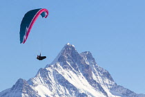 Paraglider in mountain landscape, Bernese Alps, Switzerland, November 2014.