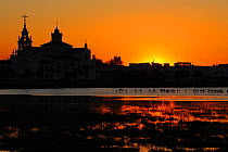 Greater flamingo (Phoenicopterus roseus) with  El Rocio Church silhouetted at sunset, Donana National Park, southern Spain, November 2009.