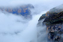 Mountain gorge filled with mist, Ordesa y Monte Perdido National Park, Huesca, Spain, October 2015.