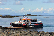 Tourists returning to boat on Lunga Island, walking to boat, Inner Hebrides, Scotland, UK, July.