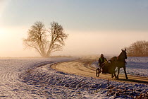 Man in horse-drawn racing cart on road in winter, Ski, Akershus, Norway, December 2014.