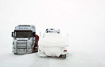 Lorries driving in extreme snow conditions, Batsfjordfjellet, Finnmark, Norway, March 2014.