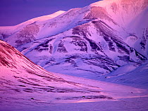 First light over Svalbard, Norway, February.