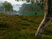 Svartisen Glacier in summer, seen from the other side of the fjord with hikers on the shore, Svartisen National Park, Nordland, Norway, June 2008.
