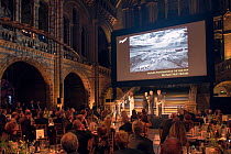 Wildlife Photographer of the Year Award winner Michael 'Nick' Nichols, receiving his award from Sir David Attenborough at the 50th Anniversary awards ceremony, Natural History Museum, London. 21 Octob...