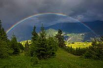 Rainbow over alpine meadows, Nordtirol, Austrian Alps. June.