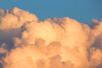 Detail of Cumulonimbus cloud at sunset. Nordtirol, Austrian Alps. July.