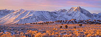 Sunrise over Mt Morrison in the far distance, near Convict Lake, Sierra Nevada, California, USA January