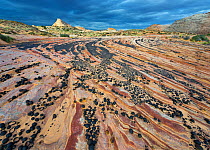 Moqui Marbles adorn a sandstone plateau in Escalante National Monument, Utah, USA, October
