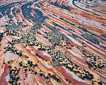 Moqui Marbles adorn a sandstone plateau in Escalante National Monument, Utah, USA, October