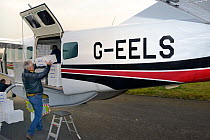 Glass eels, young European eel (Anguilla anguilla) elvers, packaged in insulated boxes at UK Glass Eels, being loaded into a light aircraft for transport to Germany for reintroduction projects, Glouce...