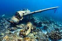 The wreck of a Japanese Second World War Aichi E13A-1 "Jake" seaplane. Korror, Rock Islands, Palau, Micronesia. Tropical west Pacific Ocean.