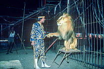 Big cat tamer with Lion (Panthera leo) Great Royal Circus, Bombay / Mumbai, India.