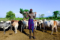 Mursi man guarding livestock. Omo Valley. Ethiopia.