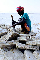 Salt extraction at Lake Assale on the Danakil depression, Afar man cuts salt blocks for trade. Afar Region, Ethiopia, Africa. November 2014.