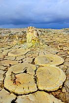 Formations caused by wind erosion, salt deposits, water and sulfurous vapors in Dallol area, Lake Assale. Danakil Depression, Afar Region, Ethiopia, Africa. November 2014.