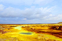 Lakes and sulfur fumaroles with potassium salts mineral deposits, Dallol hydrothermal area, Lake Assale. Danakil Depression, Afar Region, Ethiopia, Africa. November 2014.