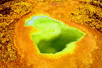 Lake with potassium salts mineral deposits, Dallol hydrothermal area, Lake Assale, Danakil Depression. Afar Region, Ethiopia, Africa. November 2014.