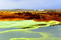 Lake with potassium salts mineral deposits, Dallol hydrothermal area of Lake Assale. Danakil Depression, Afar Region, Ethiopia, Africa. November 2014.