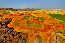 Landscape with salts and sulfur deposits, Dallol, Danakil Depression, North Ethiopia. February 2009.