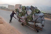 Transport of charcoal near so called  brick ovens near Fianarantsoa, Madagascar, October 2015