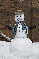 Snowman built during winter storm Jonas, Washington DC,  January 2016