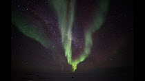 View of the Aurora Australis, seen from Dumont D'Urville Station, Ile des Petrels, Antarctica.