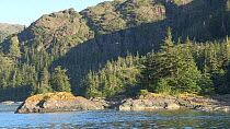 Tracking shot of Knight Island, Prince William Sound, Alaska, USA.