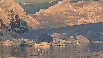 View of mountains and  floating ice at sunset, Gerlache Strait, Antarctic Peninsula