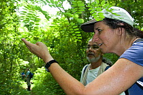 Anne Savage and Luis Soto from Project / Proyecto Titi looking at bugs on a leaf, in tropical tropical forest, Colombia. Critically endangered species.