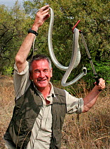 Presenter Nigel Marven holding Black Mamba (Dendroaspis polylepis) with its mouth wide open, hooked over a stick,South Africa, October.