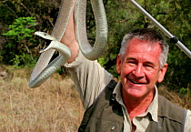 Presenter Nigel Marven holding Black Mamba (Dendroaspis polylepis) South Africa, October 2013